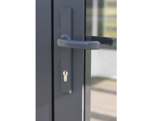 Tür mit Türgriff und Zylinderschloss