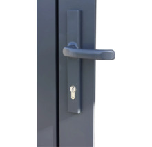 Detailansicht einer grauen Tür mit Griff und Yale-Schloss