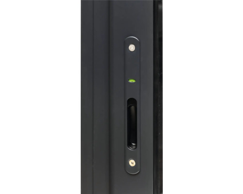 Detailansicht eines Türgriffs mit integrierter Wasserwaage.