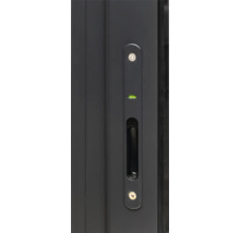 Detailansicht einer Tür mit integriertem Griff und Wasserwaage