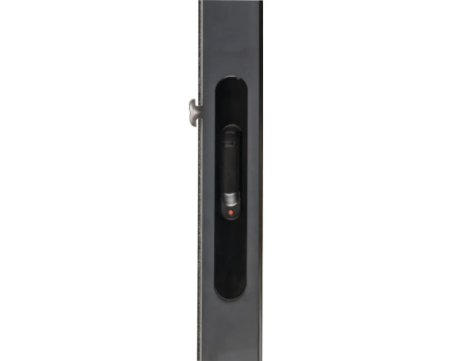 Schließmuschel mit Olive für Fenster und Türen