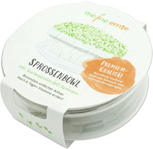 Sprossenbowl inklusive Starterportion Bio Sprossen für den einfachen Anbau