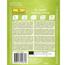 De Cayenne Capsicum annuum Produktinformationen