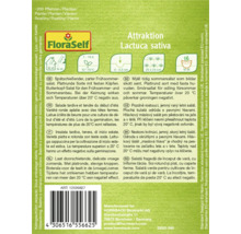 Attraktion Lactuca Sativa Samenpackung