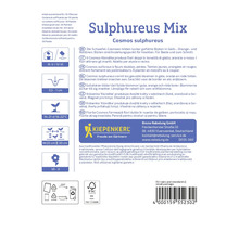 Schwefel-Cosmeen Blumensamen Verpackungsinformationen