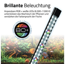 Aquarium mit LED-Beleuchtung zur Unterstützung des Pflanzenwachstums und zur Verbesserung der Fischfarben.