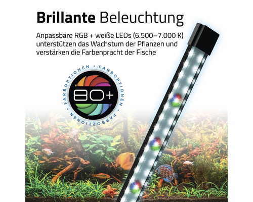Aquarium mit LED-Beleuchtung zur Unterstützung des Pflanzenwachstums und zur Verbesserung der Fischfarben.