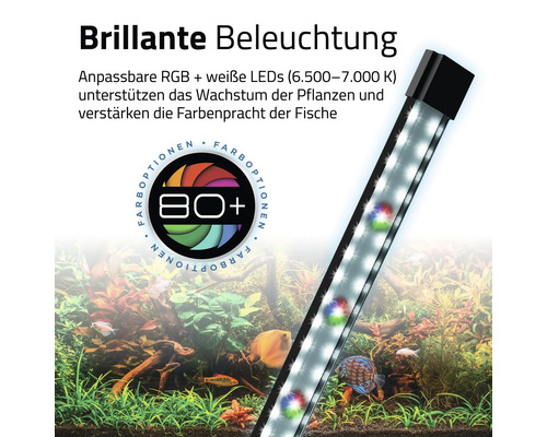 Aquarium mit LED-Beleuchtung zur Förderung des Pflanzenwachstums