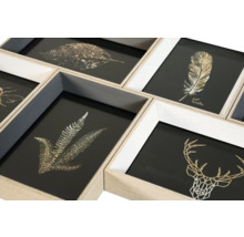 Mehrfachbilderrahmen mit Illustrationen von Blatt, Feder und Hirsch