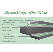 Schichtaufbau von Blech mit Decklack, Grundschicht, Passivierungsschicht, Verzinkung, 0,50 mm Stahl und Rückseitenbeschichtung