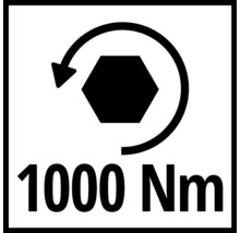 Drehmoment bis 1000 Newtonmeter