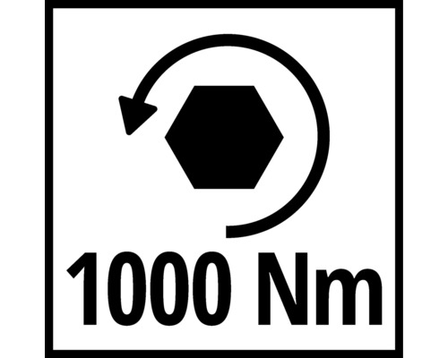 Drehmoment bis 1000 Newtonmeter
