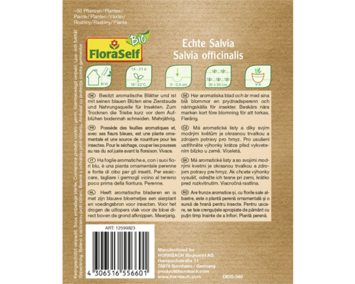 Echte Salvia Samenpackung von FloraSelf