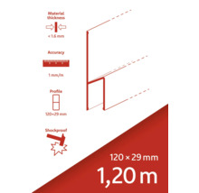Materialstärke weniger als 1,6 Millimeter, Genauigkeit 1 Millimeter pro Meter, Profil 120 mal 29 Millimeter, stoßfest, Länge 1,20 Meter