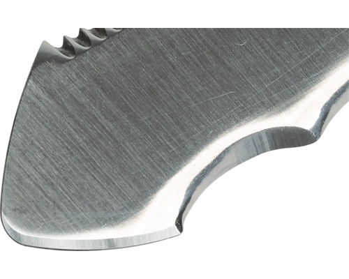 Detailaufnahme der Klinge eines Messers mit gezahnter Oberseite