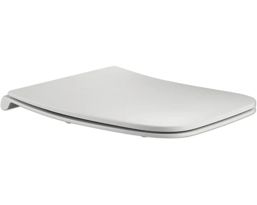 Toilettendeckel aus Kunststoff