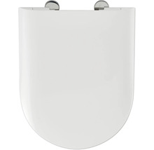 Toilettensitz aus Sanitärkeramik