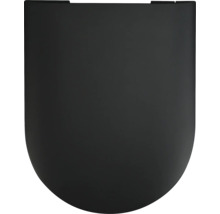 Toilettendeckel aus Kunststoff
