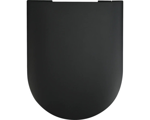 Toilettendeckel aus Kunststoff