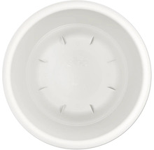 Blumenuntersetzer aus Kunststoff