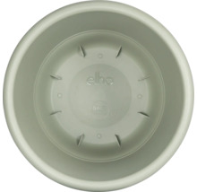 Innenansicht eines runden, grünen Blumentopfuntersetzers der Marke Elho