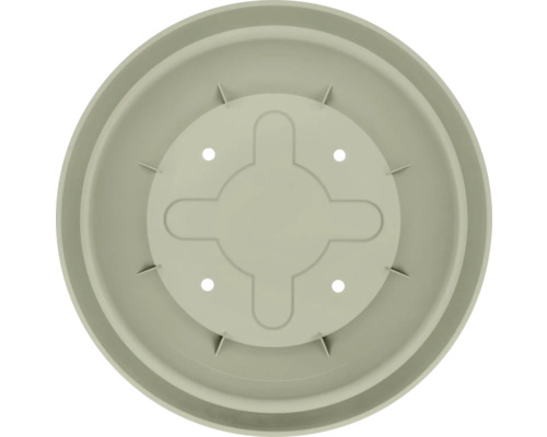 Pflanzenuntersetzer aus Kunststoff, Aufsicht