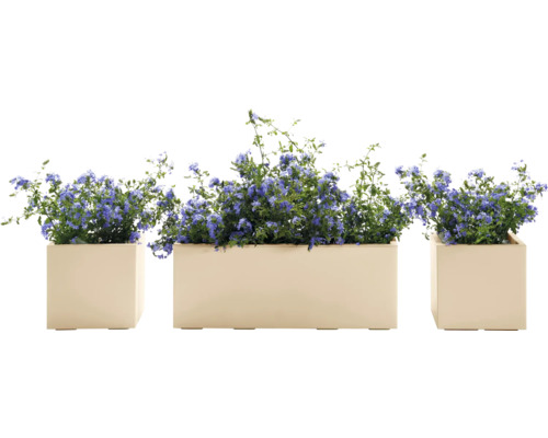 Blumenarrangement mit blauen Blüten in Pflanzkästen