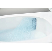 Nahaufnahme einer Toilettenspülung mit Wasser