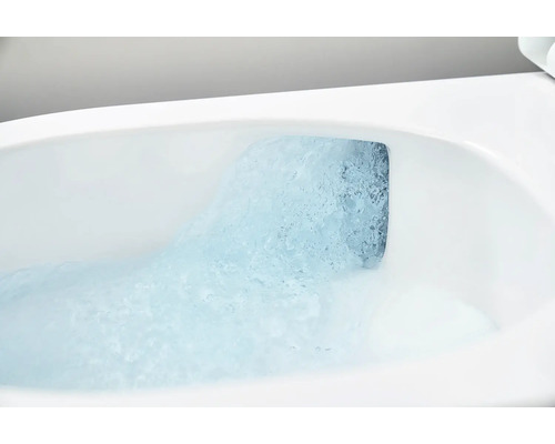 Nahaufnahme einer Toilettenspülung mit Wasser