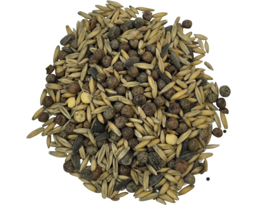 Nahaufnahme einer Mischung aus Vogelfutter mit Getreide und Samen