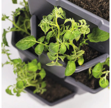 Pflanzturm mit wachsenden Pflanzen in Töpfen