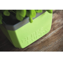 Kräutertopf mit Aufschrift Herbs Buddy.