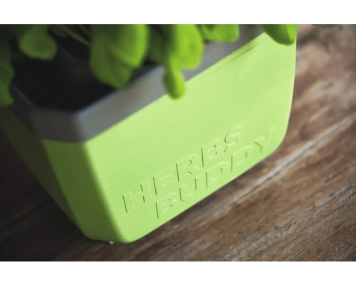 Kräutertopf mit Aufschrift Herbs Buddy.