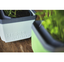 Zwei Kräutertöpfe mit der Aufschrift Herbs Buddy.