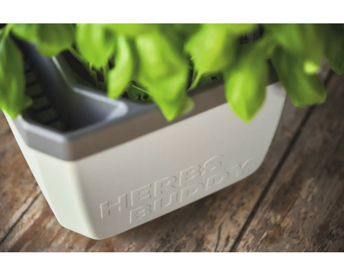 Kräutertopf mit der Aufschrift Herbs Buddy und Kräutern