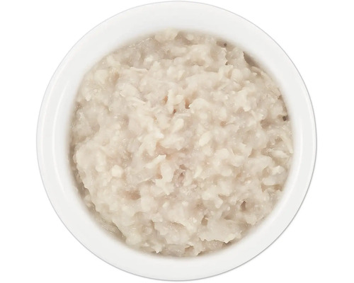 Katzenfutter in einer weißen Schale