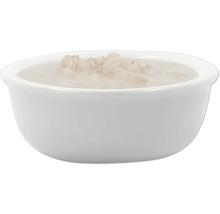 Schale mit Katzenfutter