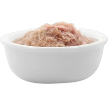 Katzenfutter in einer weißen Schale