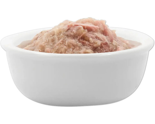 Katzenfutter in einer weißen Schale