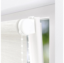 Detailansicht eines weißen Doppelrollos am Fenster