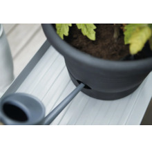 Gießkanne befüllt einen Blumentopf auf einer Blumenbank.