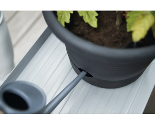 Gießkanne befüllt einen Blumentopf auf einer Blumenbank.