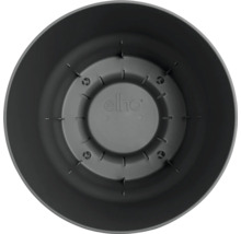 Innenansicht eines runden Blumentopfes aus Kunststoff mit Elho Logo