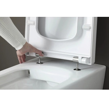 Detailansicht einer Toilettenschüssel mit abnehmbarem Toilettensitz