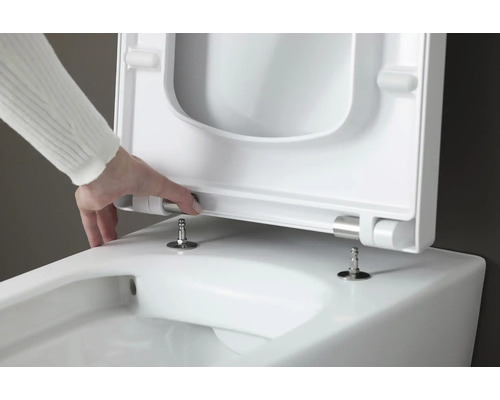 Detailansicht einer Toilettenschüssel mit abnehmbarem Toilettensitz