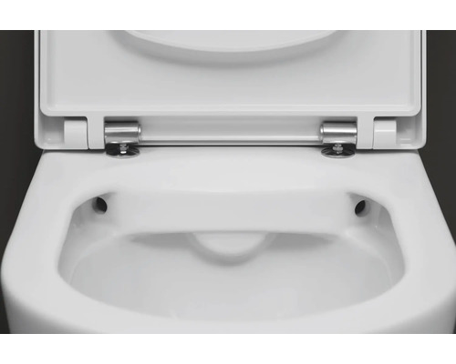 Aufnahme eines Toilettendeckels aus Keramik mit Beschlägen