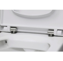 Detailansicht eines weißen Toilettensitzes mit Edelstahlscharnieren.