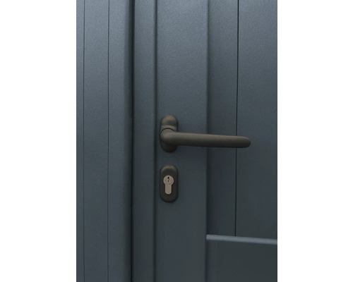 Tür mit Türgriff und Schloss