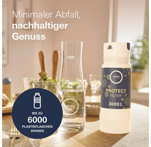 Grohe Blue Wasserkaraffe und Protect Filter auf einem Tisch
