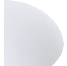 Ausschnitt einer runden Fläche